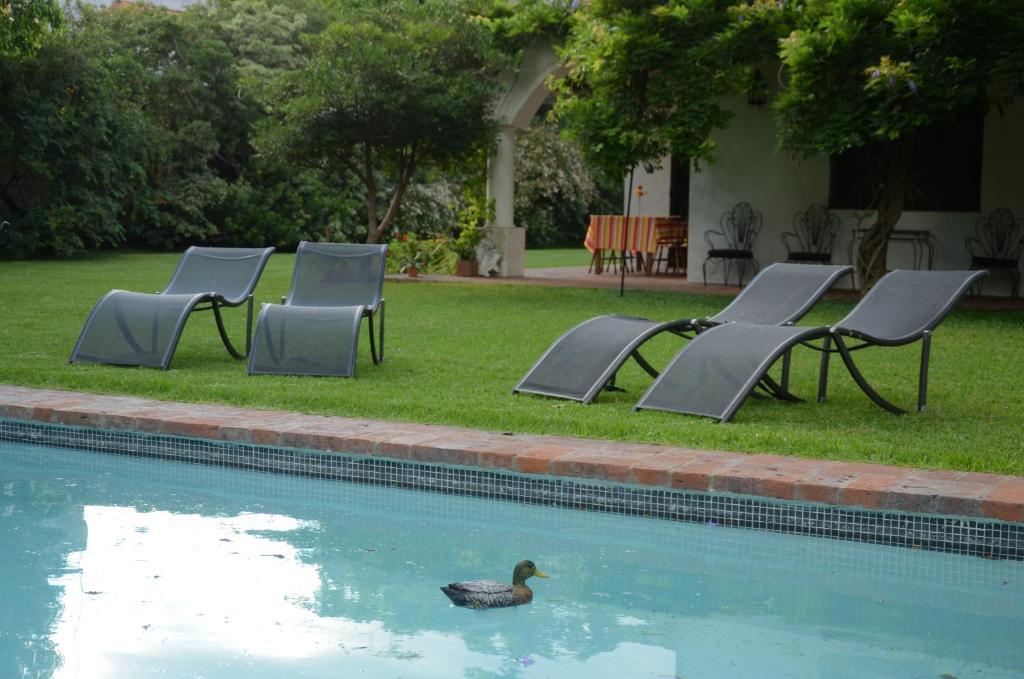 Susana Just Boutique Hotel Vicente López Екстериор снимка